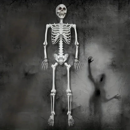 Halloween Decoration Skeleton Figure Life-Size Display