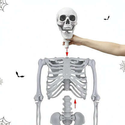 Halloween Decoration Skeleton Figure Life-Size Display