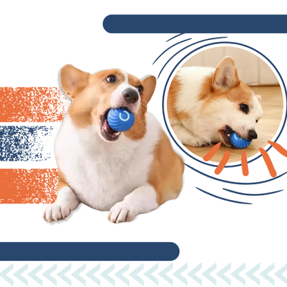 Interactive Dog Toy Durable Ball Engaging Playtime Fun